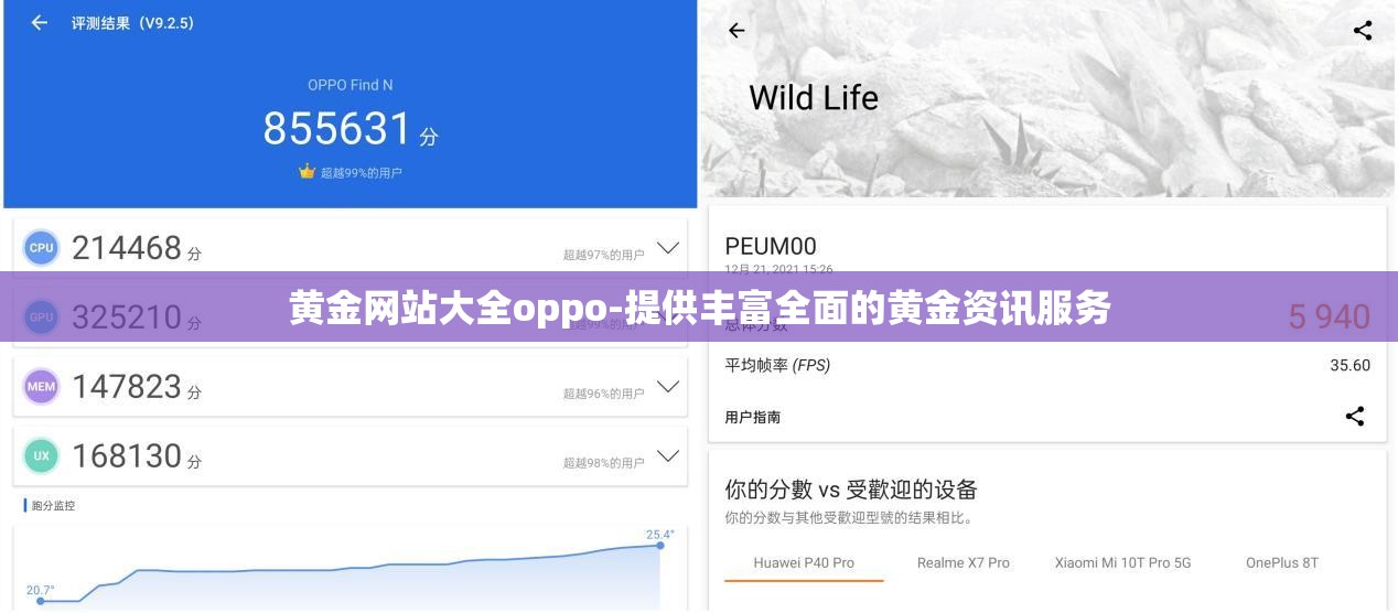 黄金网站大全oppo-提供丰富全面的黄金资讯服务