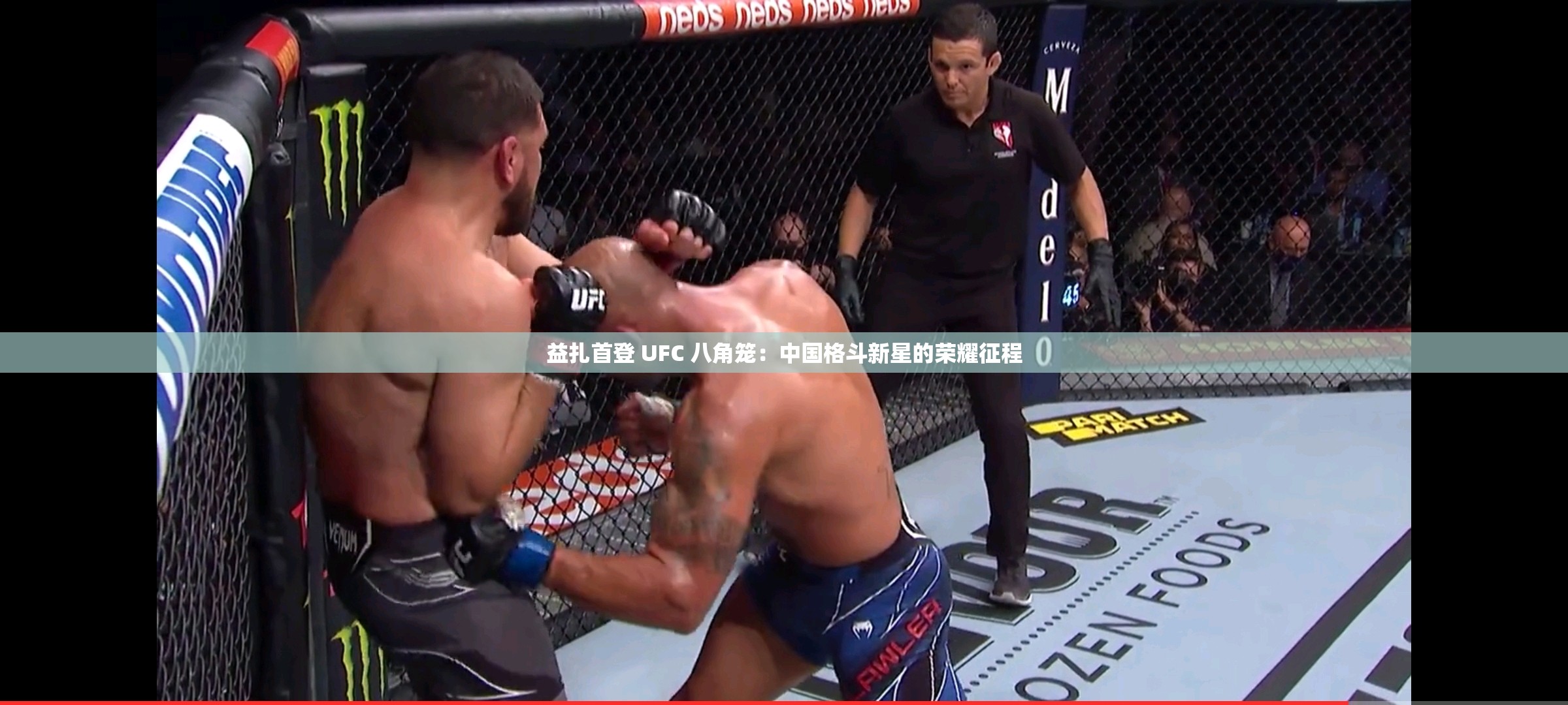 益扎首登 UFC 八角笼：中国格斗新星的荣耀征程
