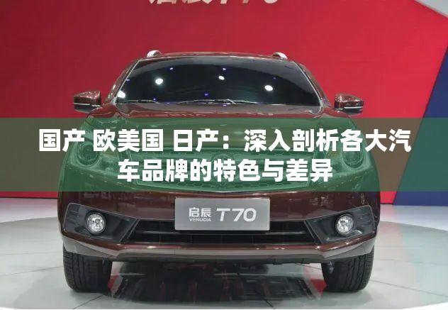 国产 欧美国 日产：深入剖析各大汽车品牌的特色与差异