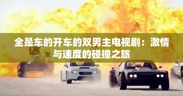 全是车的开车的双男主电视剧：激情与速度的碰撞之旅