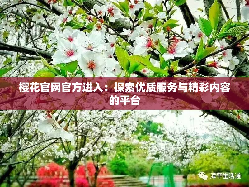 樱花官网官方进入：探索优质服务与精彩内容的平台