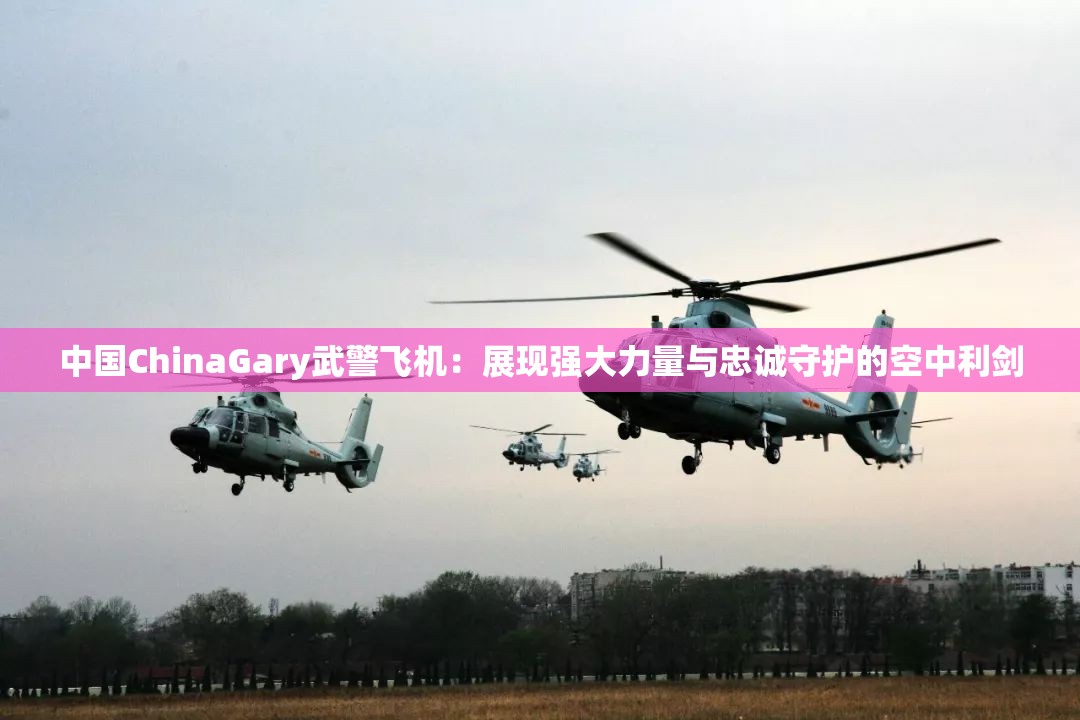 中国ChinaGary武警飞机：展现强大力量与忠诚守护的空中利剑