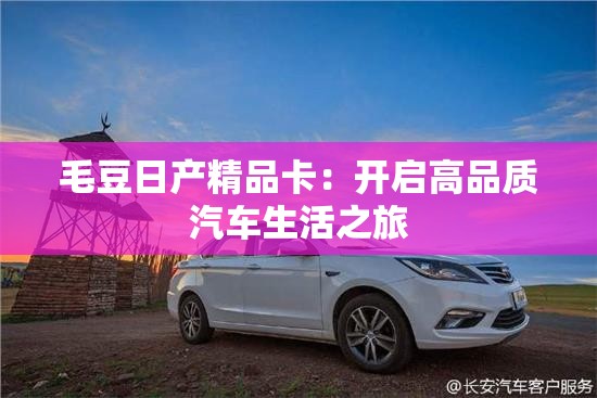 毛豆日产精品卡：开启高品质汽车生活之旅