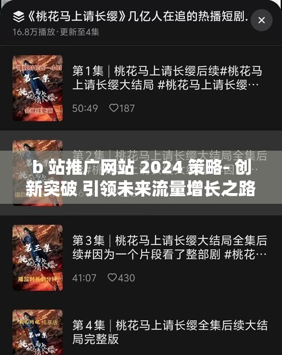 b 站推广网站 2024 策略- 创新突破 引领未来流量增长之路