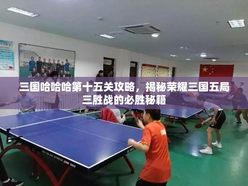三国哈哈哈第十五关攻略，揭秘荣耀三国五局三胜战的必胜秘籍