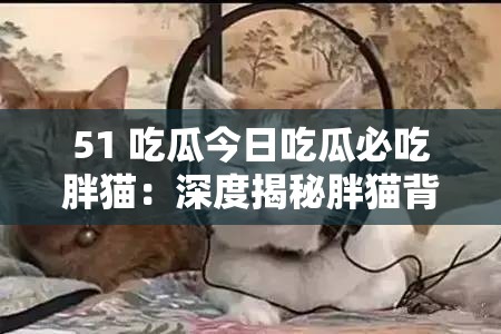 51 吃瓜今日吃瓜必吃胖猫：深度揭秘胖猫背后的秘密故事