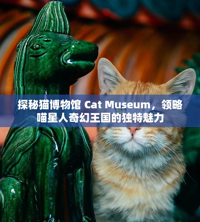 探秘猫博物馆 Cat Museum，领略喵星人奇幻王国的独特魅力