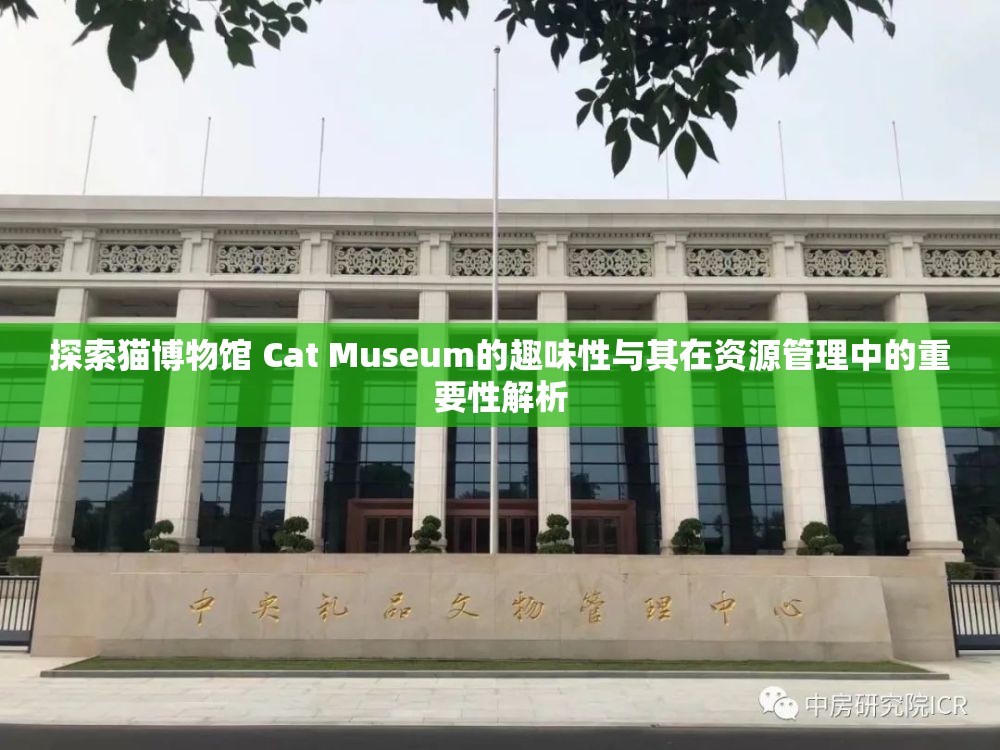 探索猫博物馆 Cat Museum的趣味性与其在资源管理中的重要性解析