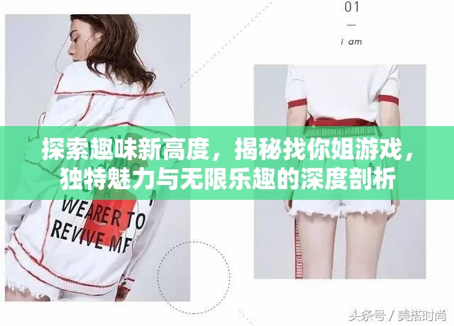 探索趣味新高度，揭秘找你姐游戏，独特魅力与无限乐趣的深度剖析