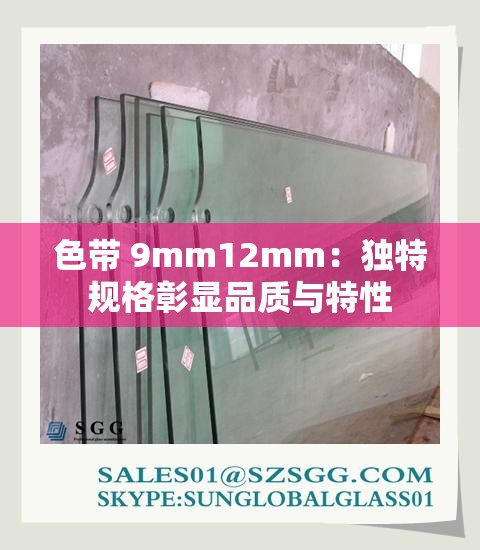 色带 9mm12mm：独特规格彰显品质与特性