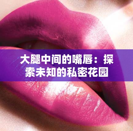 大腿中间的嘴唇：探索未知的私密花园