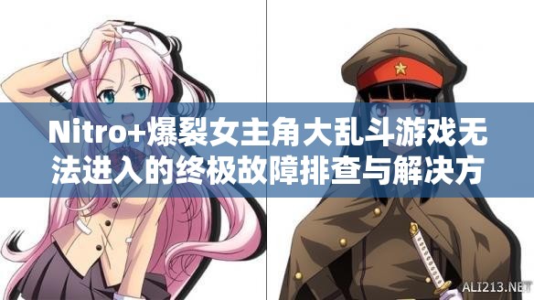 Nitro+爆裂女主角大乱斗游戏无法进入的终极故障排查与解决方案