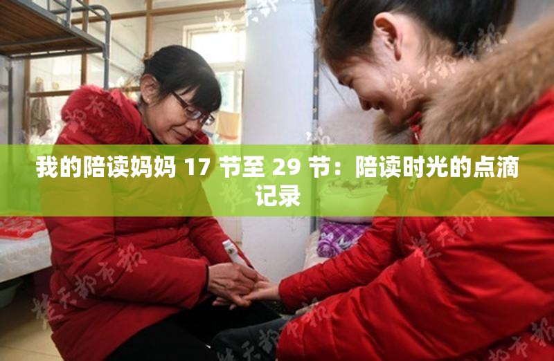我的陪读妈妈 17 节至 29 节：陪读时光的点滴记录