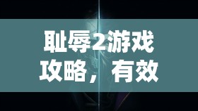 耻辱2游戏攻略，有效降低混乱度的策略与实践方法解析