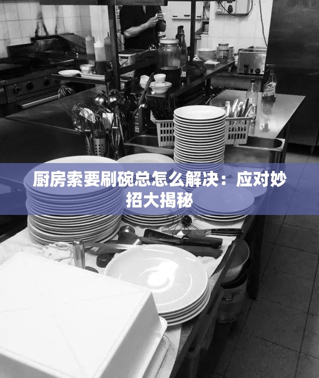 厨房索要刷碗总怎么解决：应对妙招大揭秘