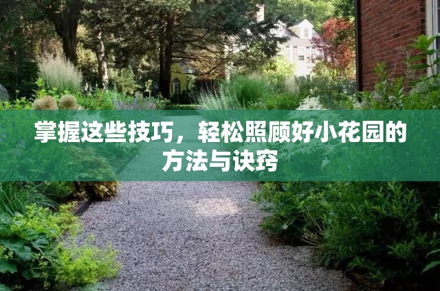 掌握这些技巧，轻松照顾好小花园的方法与诀窍