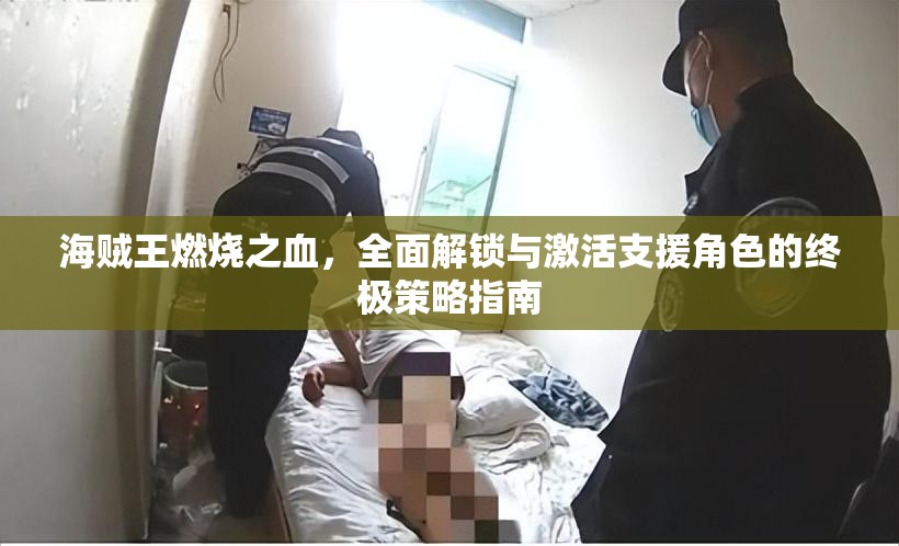 海贼王燃烧之血，全面解锁与激活支援角色的终极策略指南