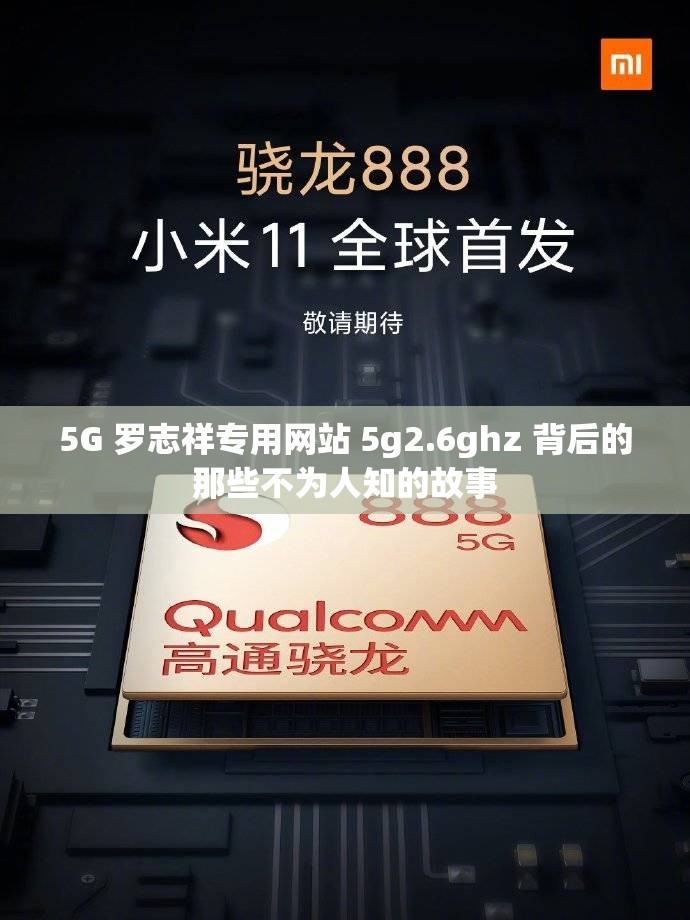 5G 罗志祥专用网站 5g2.6ghz 背后的那些不为人知的故事