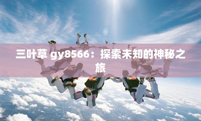 三叶草 gy8566：探索未知的神秘之旅