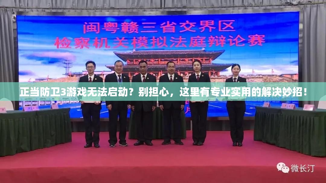 正当防卫3游戏无法启动？别担心，这里有专业实用的解决妙招！