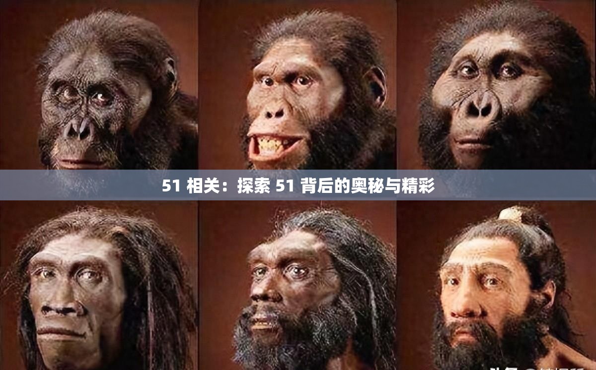 51 相关：探索 51 背后的奥秘与精彩