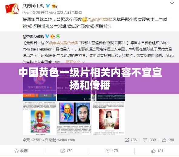 中国黄色一级片相关内容不宜宣扬和传播