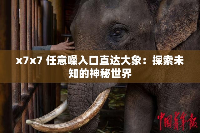 x7x7 任意噪入口直达大象：探索未知的神秘世界
