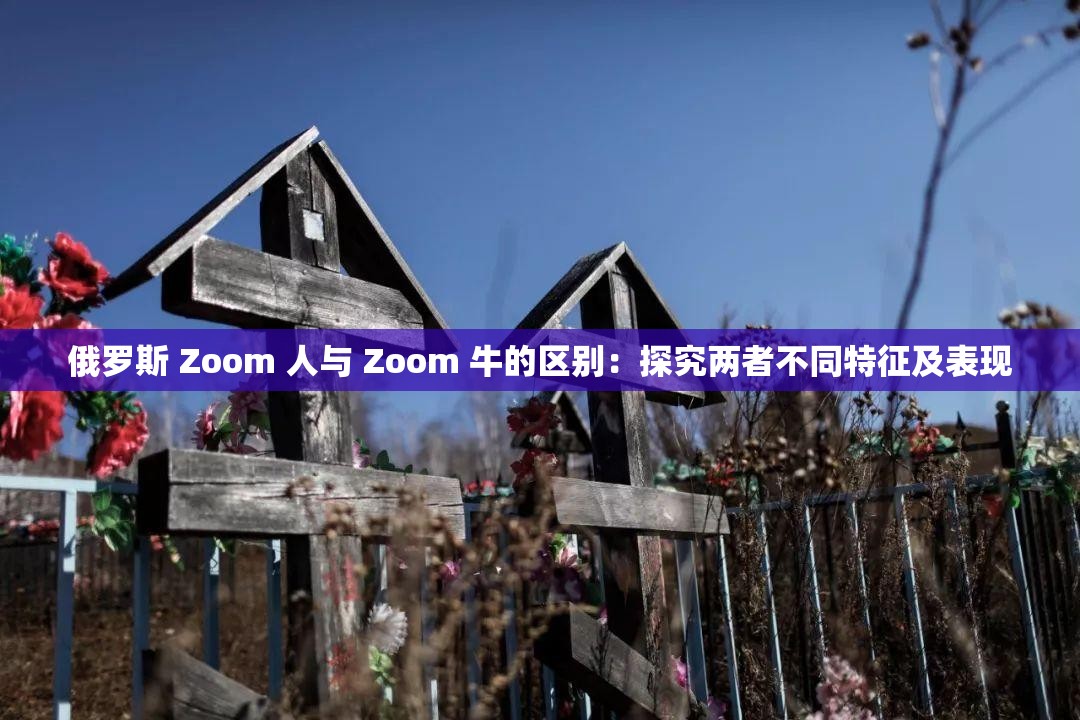 俄罗斯 Zoom 人与 Zoom 牛的区别：探究两者不同特征及表现