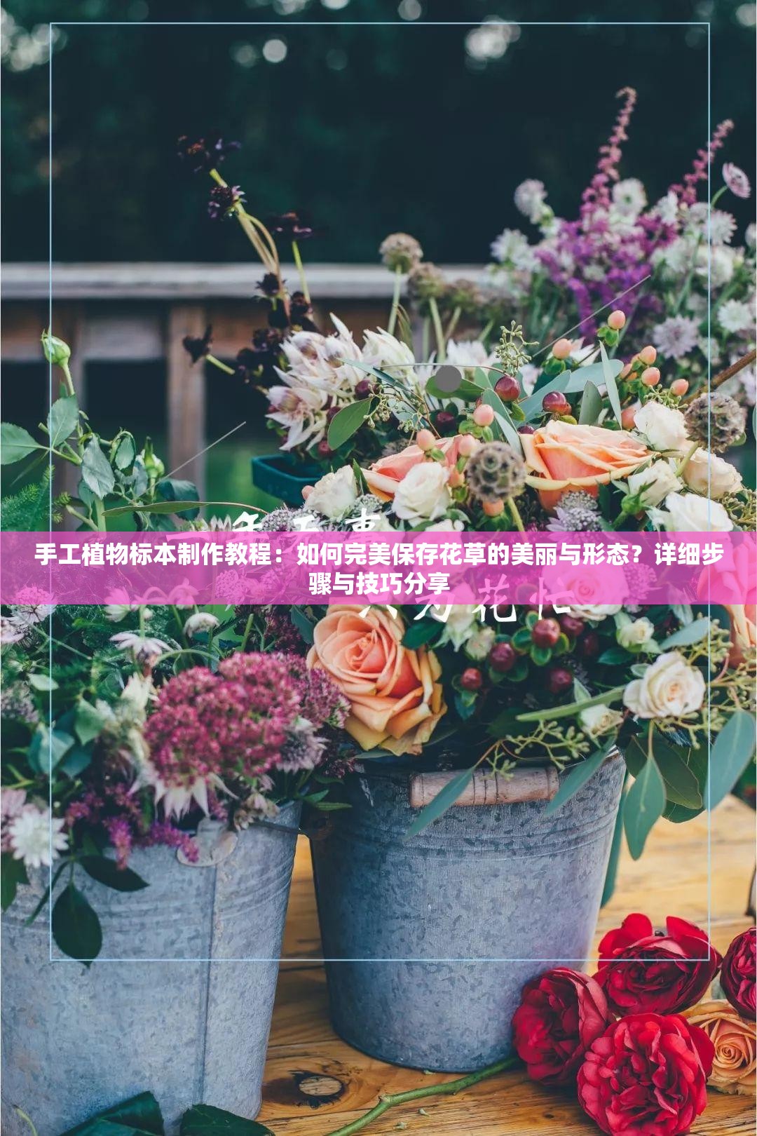 手工植物标本制作教程：如何完美保存花草的美丽与形态？详细步骤与技巧分享